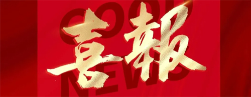 创新驱动 高质量发展 | DB旗舰官方电气两款发电机入选安徽省2025首批新产品名录