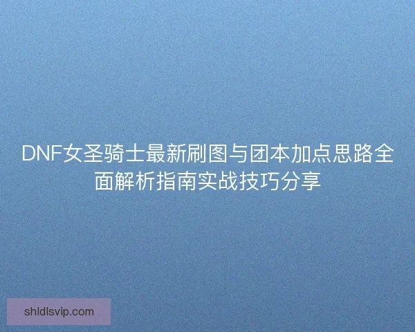 DNF女圣骑士最新刷图与团本加点思路全面解析指南实战技巧分享