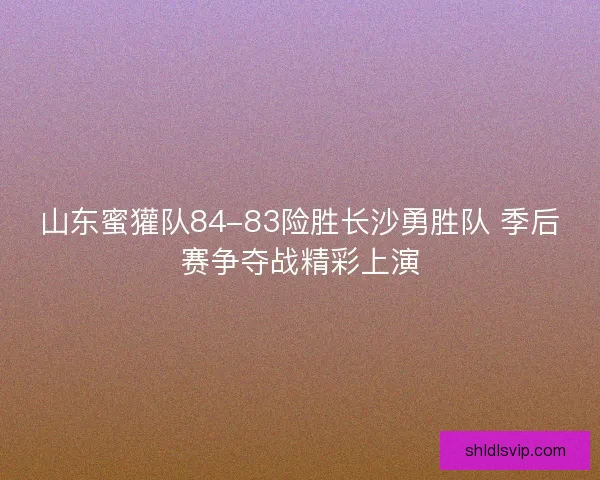 山东蜜獾队84-83险胜长沙勇胜队 季后赛争夺战精彩上演