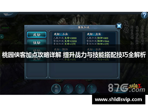 桃园侠客加点攻略详解 提升战力与技能搭配技巧全解析